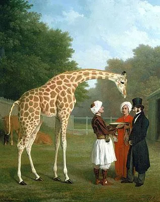 The Nubian Giraffe